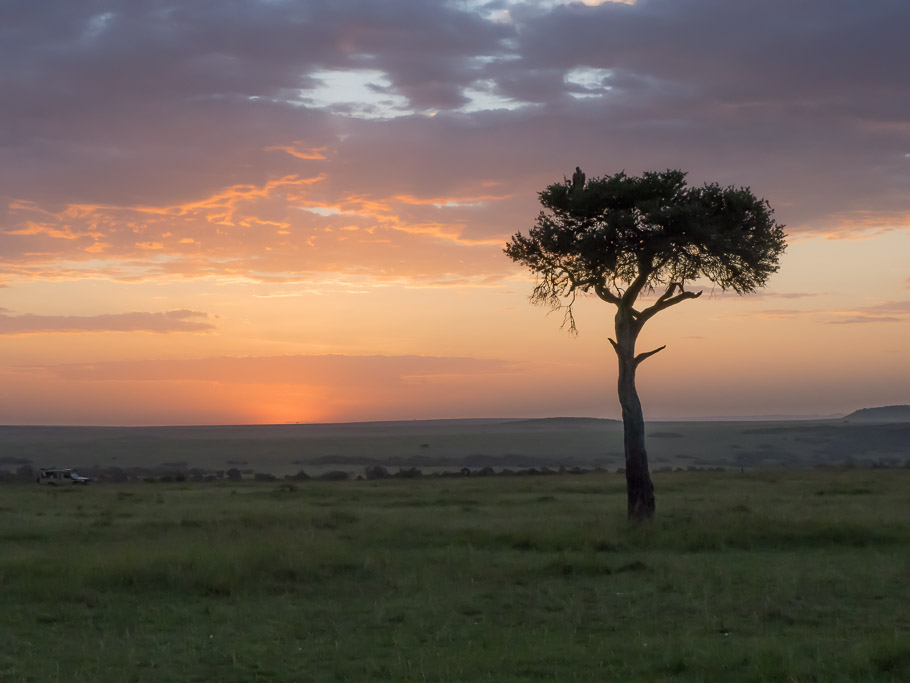 Mara Sunset - Maasai Mara