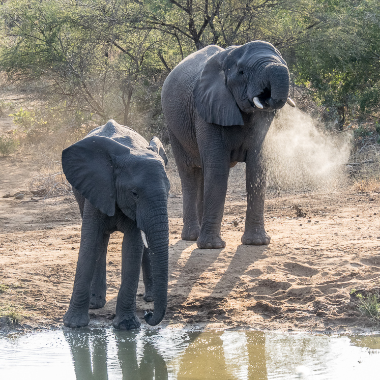 No jokes while I'm drinking PLEASE