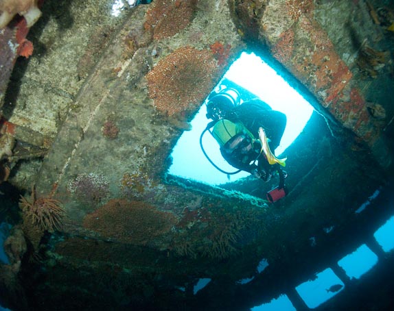 Down the Hatch - Swan Wreck