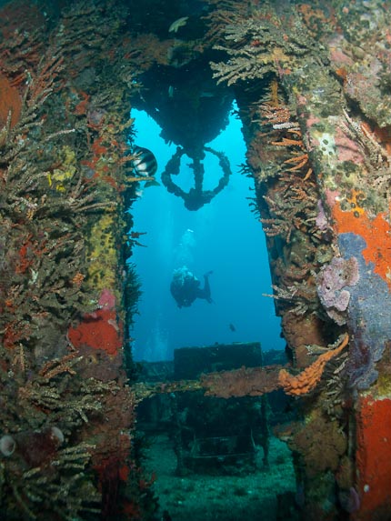 Frame - Swan Wreck
