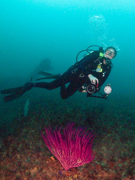Hayley and Sea-whip