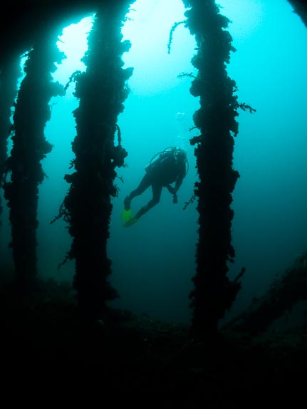 Mawali Wreck - Sulawesi, Indonesia
