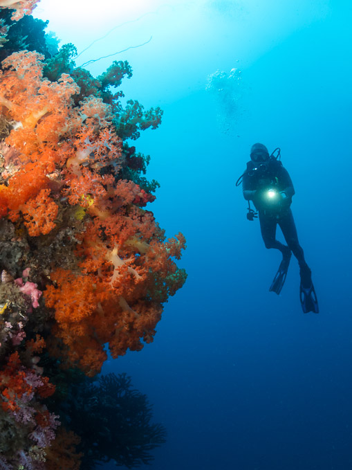 Jeff and Soft Coral - Batu Puten Pinnacle