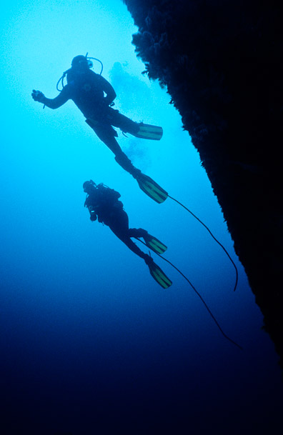 Bow Lines