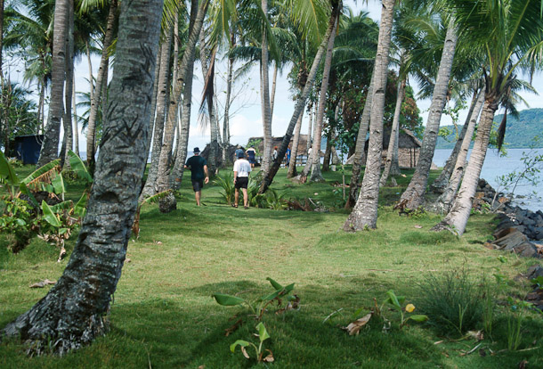 Overgrown Runway - Eten Is