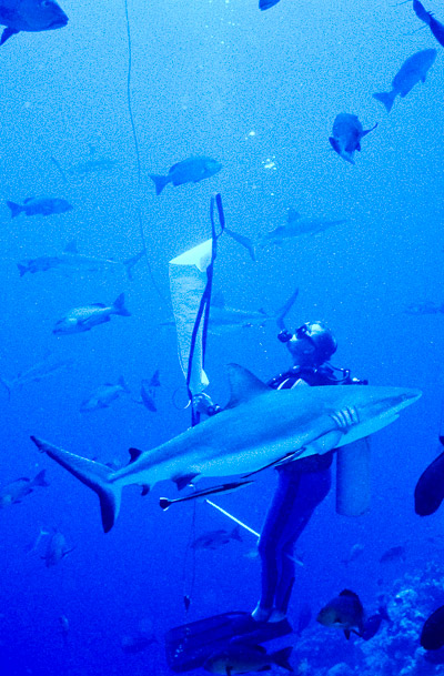 Lenny and Lift Bag at Pizion Reef
