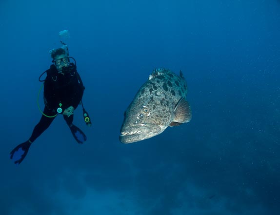 Judi and Cod at Cod Hole, Mermaid Reef